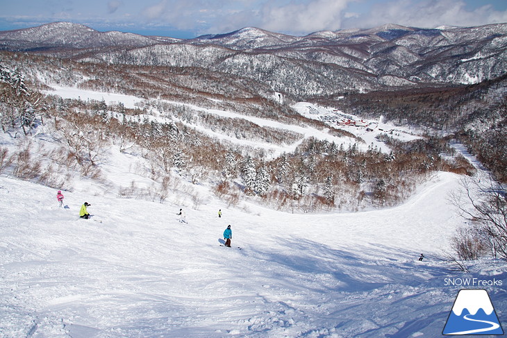 札幌国際スキー場 Welcome back POWDER SNOW !! ～パウダースノー復活～